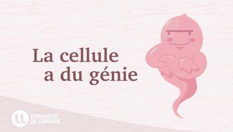 Le titre du MOOC La cellule a du génie apparait au centre. Un dessin d'un génie rose, les bras croisés illustre le titre.